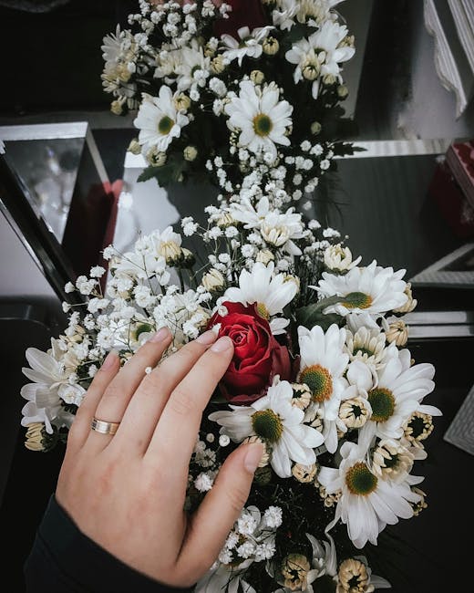 A floral arrangement featuring a bouquet of fresh white daisies with yellow centers, interspersed with small white baby's breath flowers. In the center, there is a single vivid red rose. The bouquet i